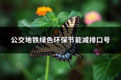 公交地铁绿色环保节能减排口号