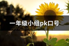 一年级小组pk口号