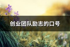 创业团队励志的口号