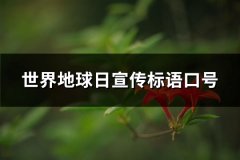 世界地球日宣传标语口号