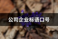 公司企业标语口号