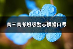 高三高考班级励志横幅口号