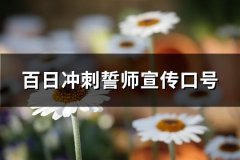 百日冲刺誓师宣传口号