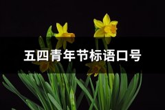 五四青年节标语口号