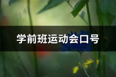 学前班运动会口号