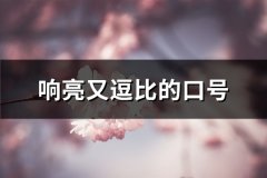 响亮又逗比的口号