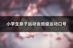 小学生亲子运动会班级运动口号