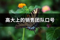 高大上的销售团队口号