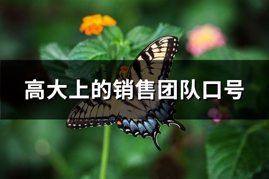 高大上的销售团队口号