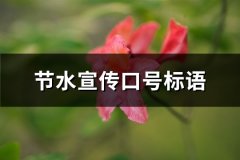 节水宣传口号标语