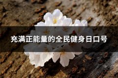 充满正能量的全民健身日口号