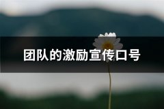 团队的激励宣传口号