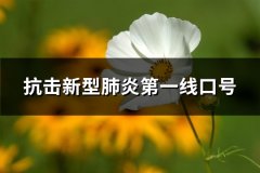 抗击新型肺炎第一线口号