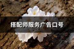 搭配师服务广告口号