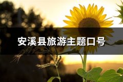 安溪县旅游主题口号