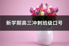 新学期高三冲刺班级口号