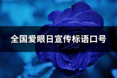 全国爱眼日宣传标语口号