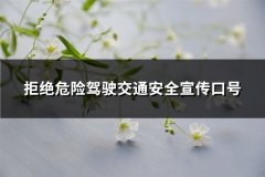 拒绝危险驾驶交通安全宣传口号