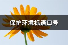 保护环境标语口号