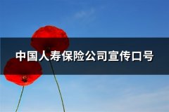 中国人寿保险公司宣传口号