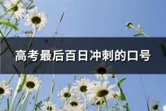 高考最后百日冲刺的口号