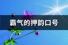 霸气的押韵口号