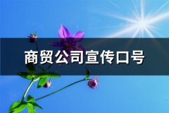 商贸公司宣传口号