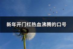 新年开门红热血沸腾的口号