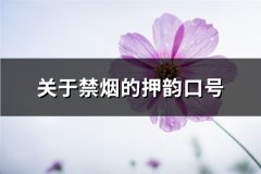 关于禁烟的押韵口号