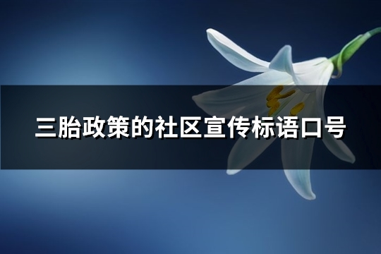 三胎政策的社区宣传标语口号