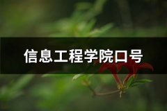 信息工程学院口号