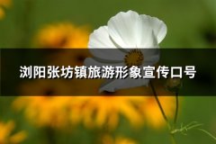 浏阳张坊镇旅游形象宣传口号