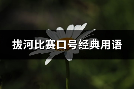 拔河比赛口号经典用语
