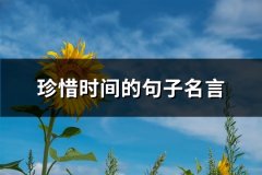 珍惜时间的句子名言(推荐50句)