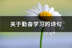 关于勤奋学习的诗句(精选57句)