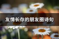 友情长存的朋友圈诗句(通用49句)