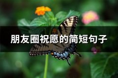 朋友圈祝愿的简短句子(热门66句)