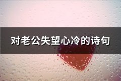 对老公失望心冷的诗句(推荐34句)