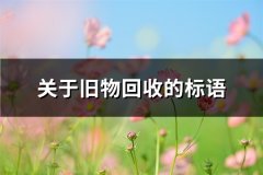 关于旧物回收的标语(推荐53句)