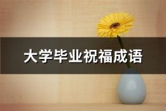 大学毕业祝福成语(优选53句)