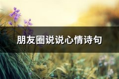 朋友圈说说心情诗句(推荐66句)