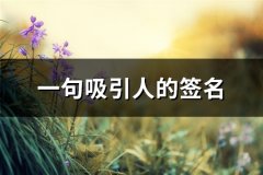一句吸引人的签名(66句)