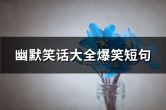幽默笑话大全爆笑短句(必备65句)
