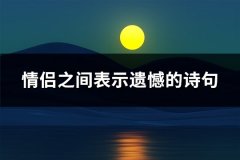 情侣之间表示遗憾的诗句(推荐34句)