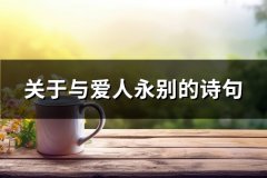 关于与爱人永别的诗句(优选66句)