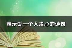 表示爱一个人决心的诗句(必备34句)