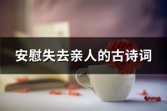 安慰失去亲人的古诗词(汇总25句)