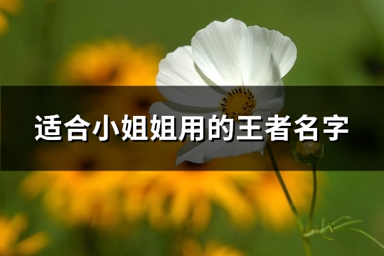 适合小姐姐用的王者名字(精选556个)