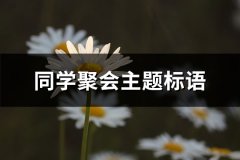 同学聚会主题标语(精选66句)