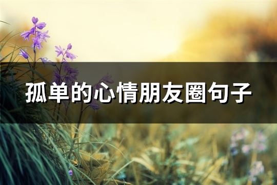 孤单的心情朋友圈句子(热门66句)